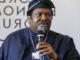 Nduka Obaigbena Net Worth